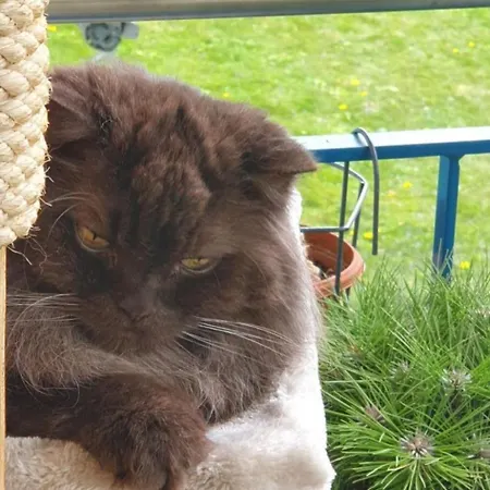 Bergsicht By Interhome