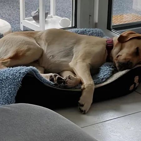 Daire Bergsicht By Interhome