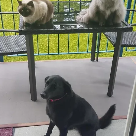 Apartament Bergsicht By Interhome