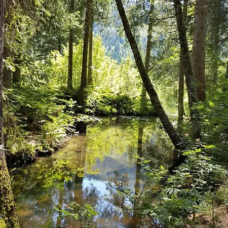 Bergsicht By Interhome Apartament Wildhaus