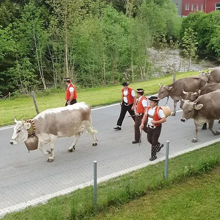 Bergsicht By Interhome *