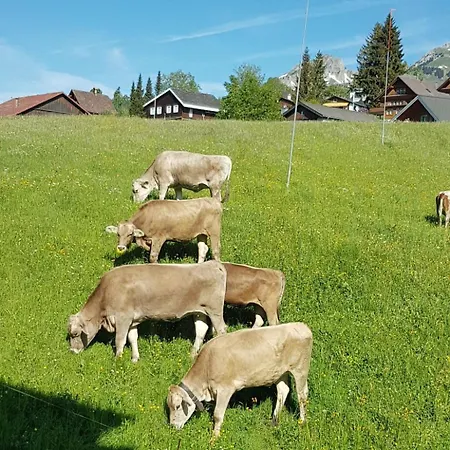 Apartament Bergsicht By Interhome *