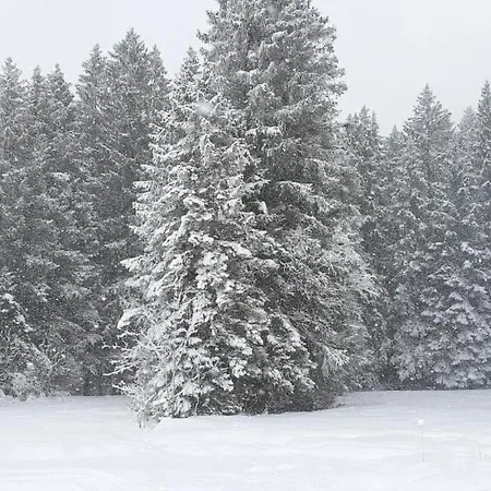 Bergsicht By Interhome Wildhaus