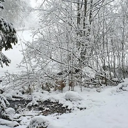 Bergsicht By Interhome * Wildhaus