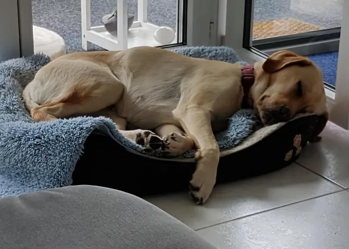 Apartman Bergsicht By Interhome