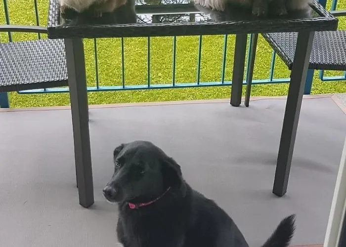 Appartement Bergsicht By Interhome