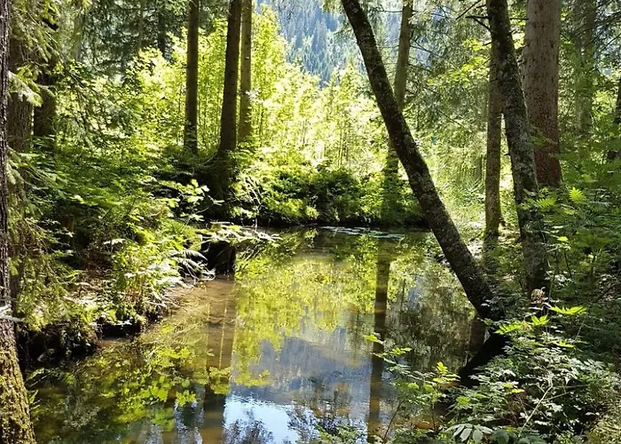 Bergsicht By Interhome Daire Wildhaus