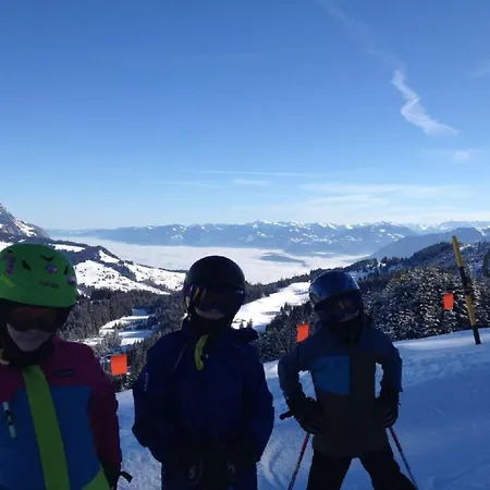 Bergsicht By Interhome Apartment Wildhaus