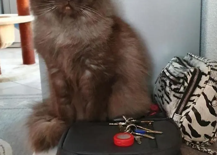 Bergsicht By Interhome Wildhaus