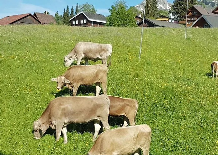 아파트 Bergsicht By Interhome *