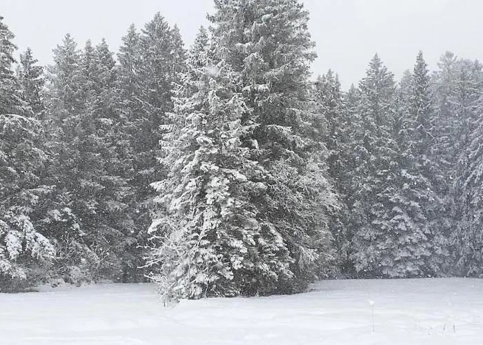 Bergsicht By Interhome Wildhaus