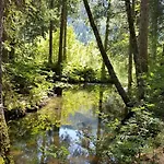 Bergsicht By Interhome Apartman Wildhaus
