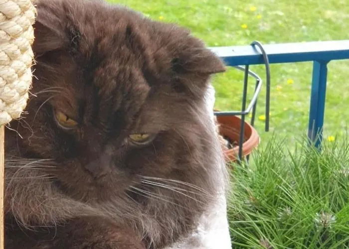 Bergsicht By Interhome