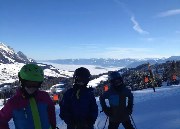 Bergsicht By Interhome Apartment Wildhaus